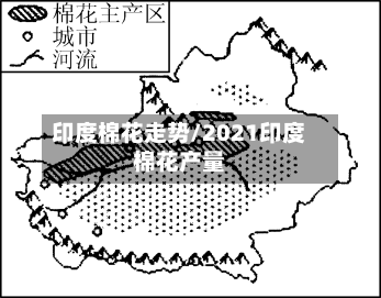 印度棉花走势/2021印度棉花产量
