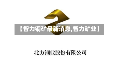 【智力铜矿最新消息,智力矿业】