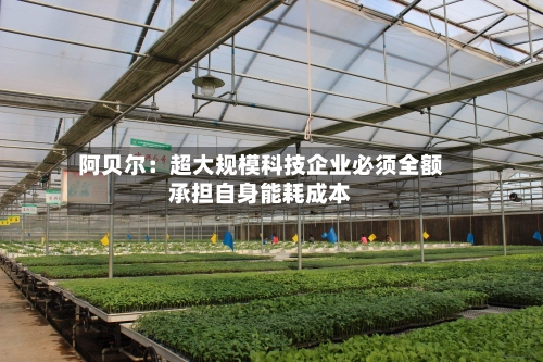 阿贝尔:超大规模科技企业必须全额承担自身能耗成本-第2张图片