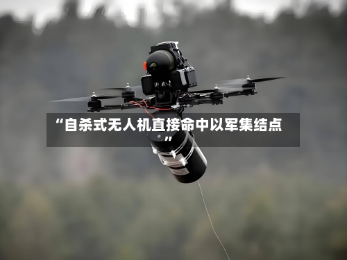 “自杀式无人机直接命中以军集结点	”-第2张图片