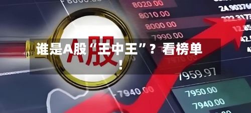 谁是A股“王中王	”？看榜单！-第3张图片