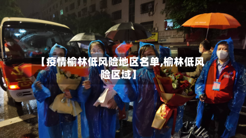 【疫情榆林低风险地区名单,榆林低风险区域】