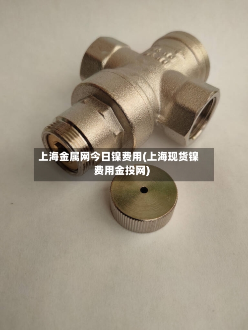 上海金属网今日镍费用(上海现货镍费用金投网)