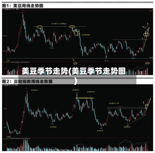 美豆季节走势(美豆季节走势图)-第2张图片