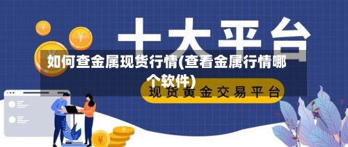 如何查金属现货行情(查看金属行情哪个软件)