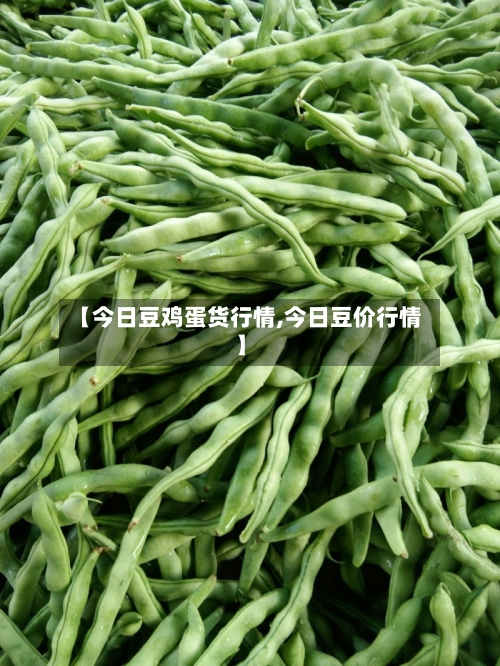 【今日豆鸡蛋货行情,今日豆价行情】-第2张图片