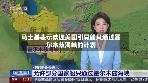 马士基表示欢迎美国引导船只通过霍尔木兹海峡的计划