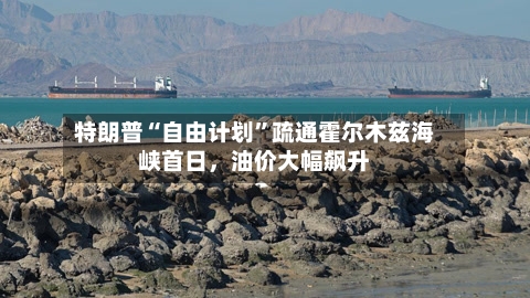 特朗普“自由计划	”疏通霍尔木兹海峡首日，油价大幅飙升-第2张图片