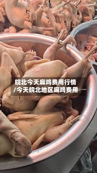 皖北今天麻鸡费用行情/今天皖北地区麻鸡费用