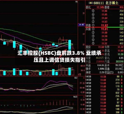 汇丰控股(HSBC)盘前跌3.8% 业绩承压且上调信贷损失指引-第2张图片