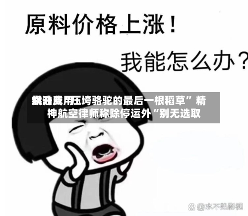 燃油费用飙升成“压垮骆驼的最后一根稻草” 精神航空律师称除停运外“别无选取”-第3张图片