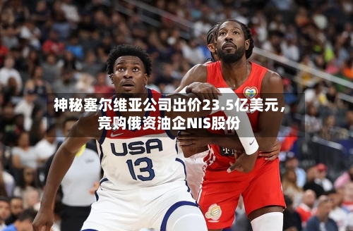神秘塞尔维亚公司出价23.5亿美元，竞购俄资油企NIS股份-第2张图片