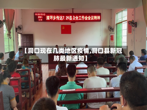 【洞口现在几类地区疫情,洞口县新冠肺最新通知】-第2张图片