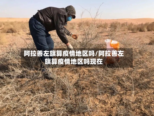 阿拉善左旗算疫情地区吗/阿拉善左旗算疫情地区吗现在-第2张图片
