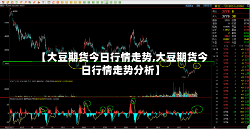 【大豆期货今日行情走势,大豆期货今日行情走势分析】