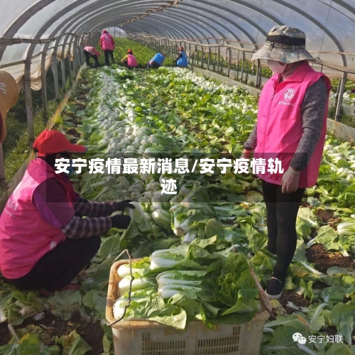 安宁疫情最新消息/安宁疫情轨迹-第2张图片