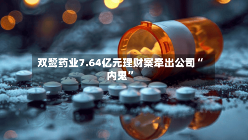 双鹭药业7.64亿元理财案牵出公司“内鬼”-第3张图片