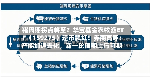 猪周期拐点将至？华宝基金农牧渔ETF（159275）逆市飘红！券商高呼：产能加速去化	，新一轮周期上行可期-第2张图片