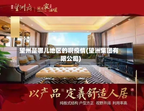 望州是哪儿地区的啊疫情(望洲集团有限公司)-第2张图片