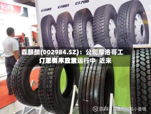 森麒麟(002984.SZ)：公司摩洛哥工厂正有序放量运行中  近来订单供不应求