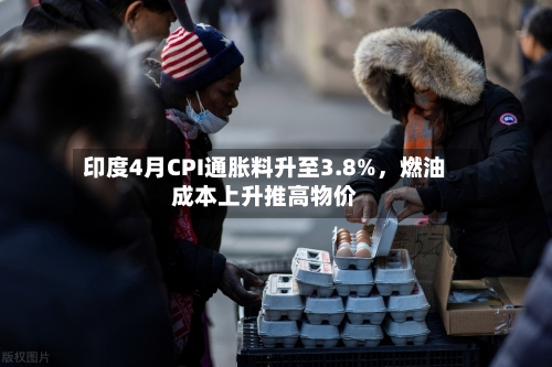 印度4月CPI通胀料升至3.8%，燃油成本上升推高物价-第2张图片