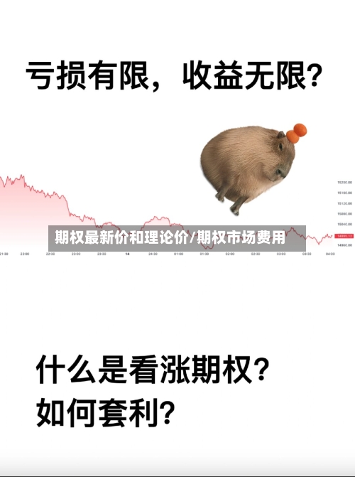 期权最新价和理论价/期权市场费用-第2张图片
