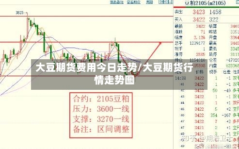 大豆期货费用今日走势/大豆期货行情走势图