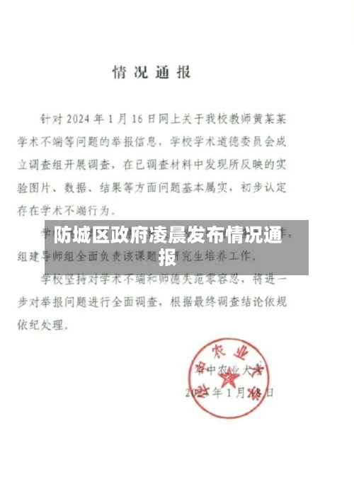 防城区政府凌晨发布情况通报-第2张图片