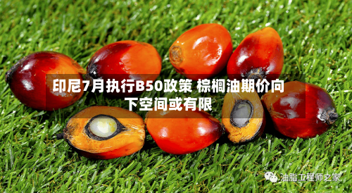 印尼7月执行B50政策 棕榈油期价向下空间或有限-第2张图片