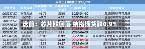 盘前：芯片股回落 纳指期货跌0.9%