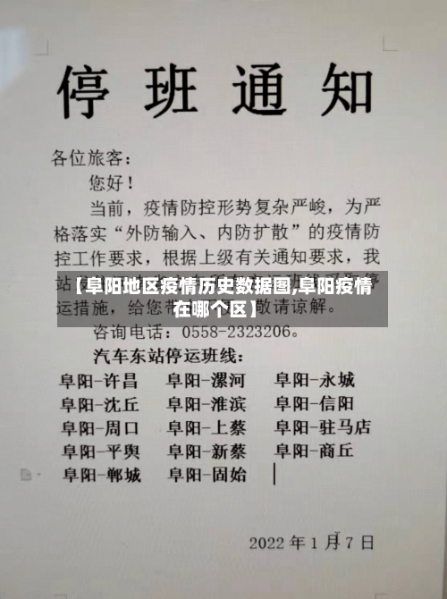 【阜阳地区疫情历史数据图,阜阳疫情在哪个区】