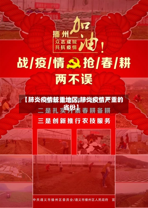 【肺炎疫情较重地区,肺炎疫情严重的省份】