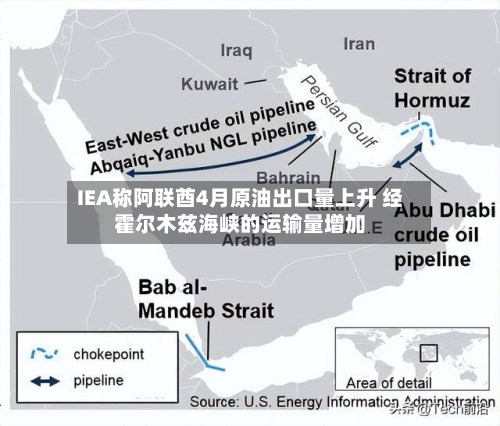 IEA称阿联酋4月原油出口量上升 经霍尔木兹海峡的运输量增加