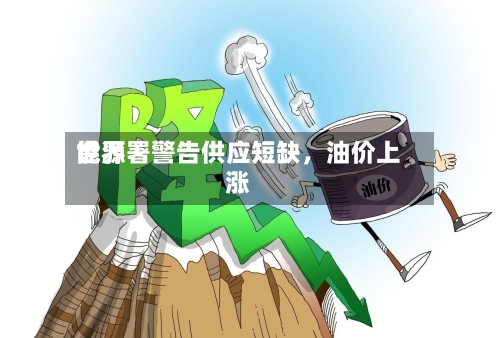 世界能源署警告供应短缺，油价上涨-第2张图片