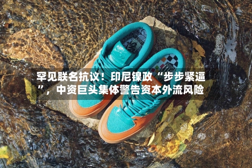 罕见联名抗议！印尼镍政 “步步紧逼”，中资巨头集体警告资本外流风险