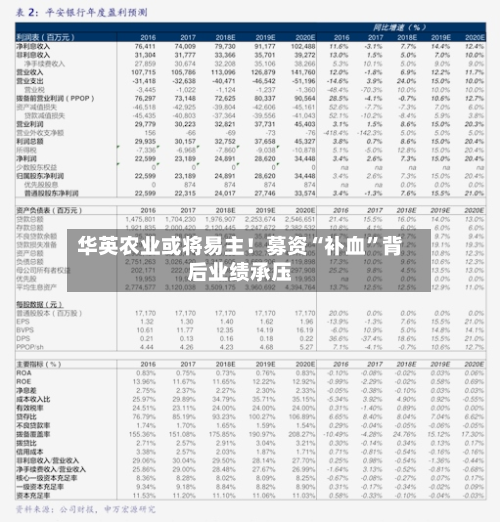 华英农业或将易主！募资“补血”背后业绩承压-第3张图片