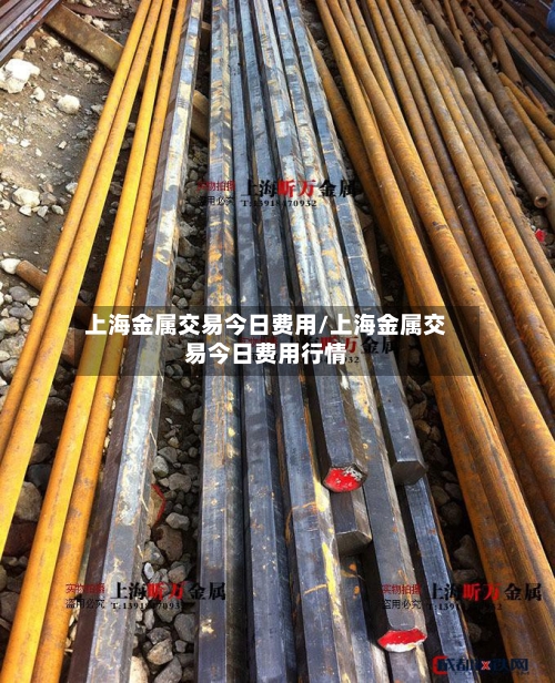 上海金属交易今日费用/上海金属交易今日费用行情-第2张图片