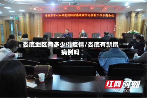 娄底地区有多少例疫情/娄底有新增病例吗