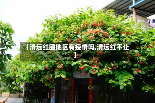 【清远红圈地区有疫情吗,清远红不让】-第3张图片