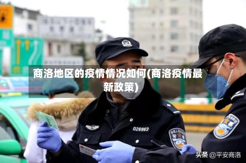 商洛地区的疫情情况如何(商洛疫情最新政策)-第3张图片