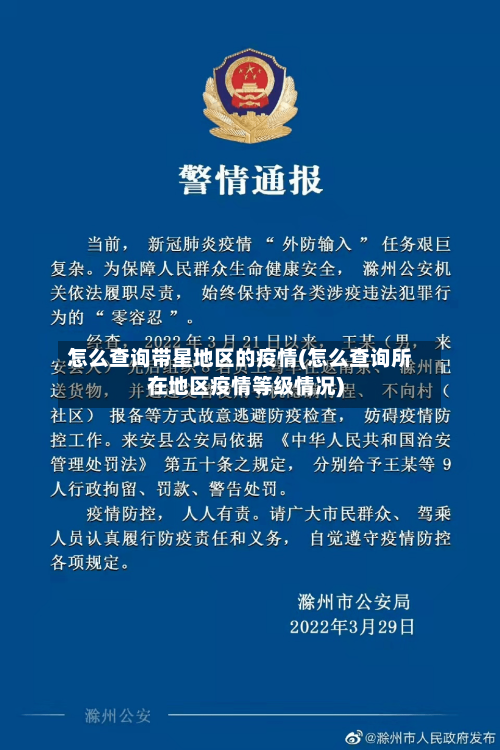 怎么查询带星地区的疫情(怎么查询所在地区疫情等级情况)-第2张图片
