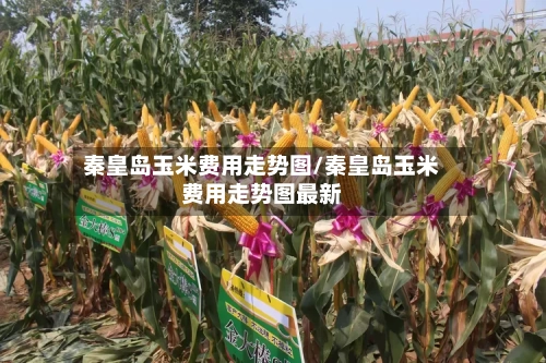 秦皇岛玉米费用走势图/秦皇岛玉米费用走势图最新-第2张图片