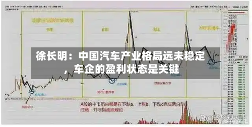 徐长明：中国汽车产业格局远未稳定，车企的盈利状态是关键