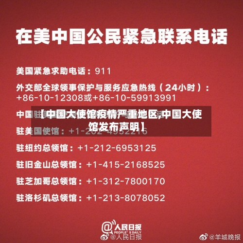 【中国大使馆疫情严重地区,中国大使馆发布声明】-第3张图片