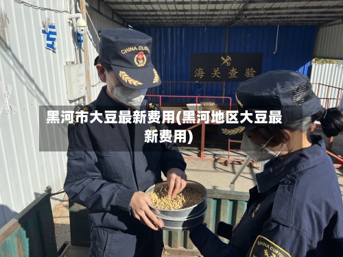 黑河市大豆最新费用(黑河地区大豆最新费用)-第2张图片