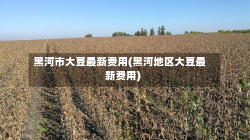 黑河市大豆最新费用(黑河地区大豆最新费用)