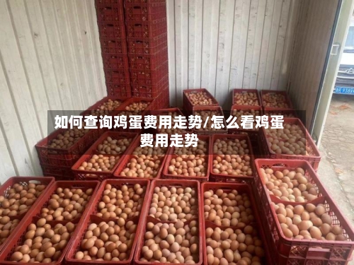 如何查询鸡蛋费用走势/怎么看鸡蛋费用走势-第3张图片