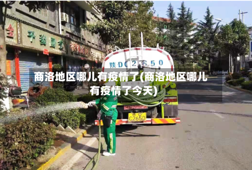 商洛地区哪儿有疫情了(商洛地区哪儿有疫情了今天)-第3张图片