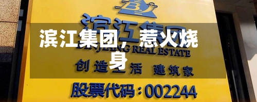 滨江集团	，惹火烧身-第2张图片