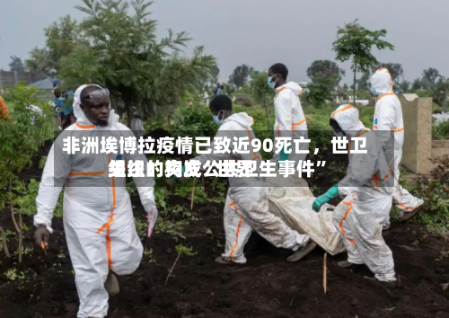 非洲埃博拉疫情已致近90死亡，世卫组织：构成“世界关注的突发公共卫生事件”-第2张图片